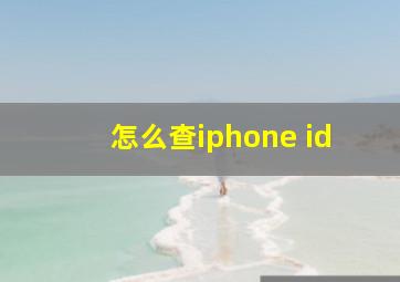 怎么查iphone id